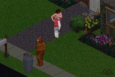 bear at the garbage can scares sims child